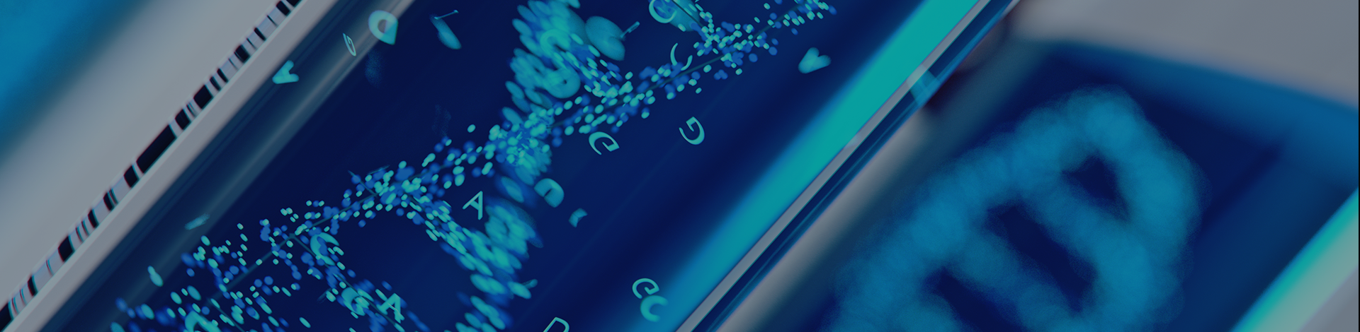 서브 비주얼 이미지